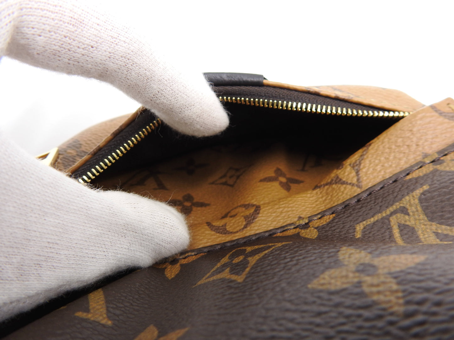 LOUIS VUITTON Monogram Reverse Palm Springs Backpack Bag PM M44870