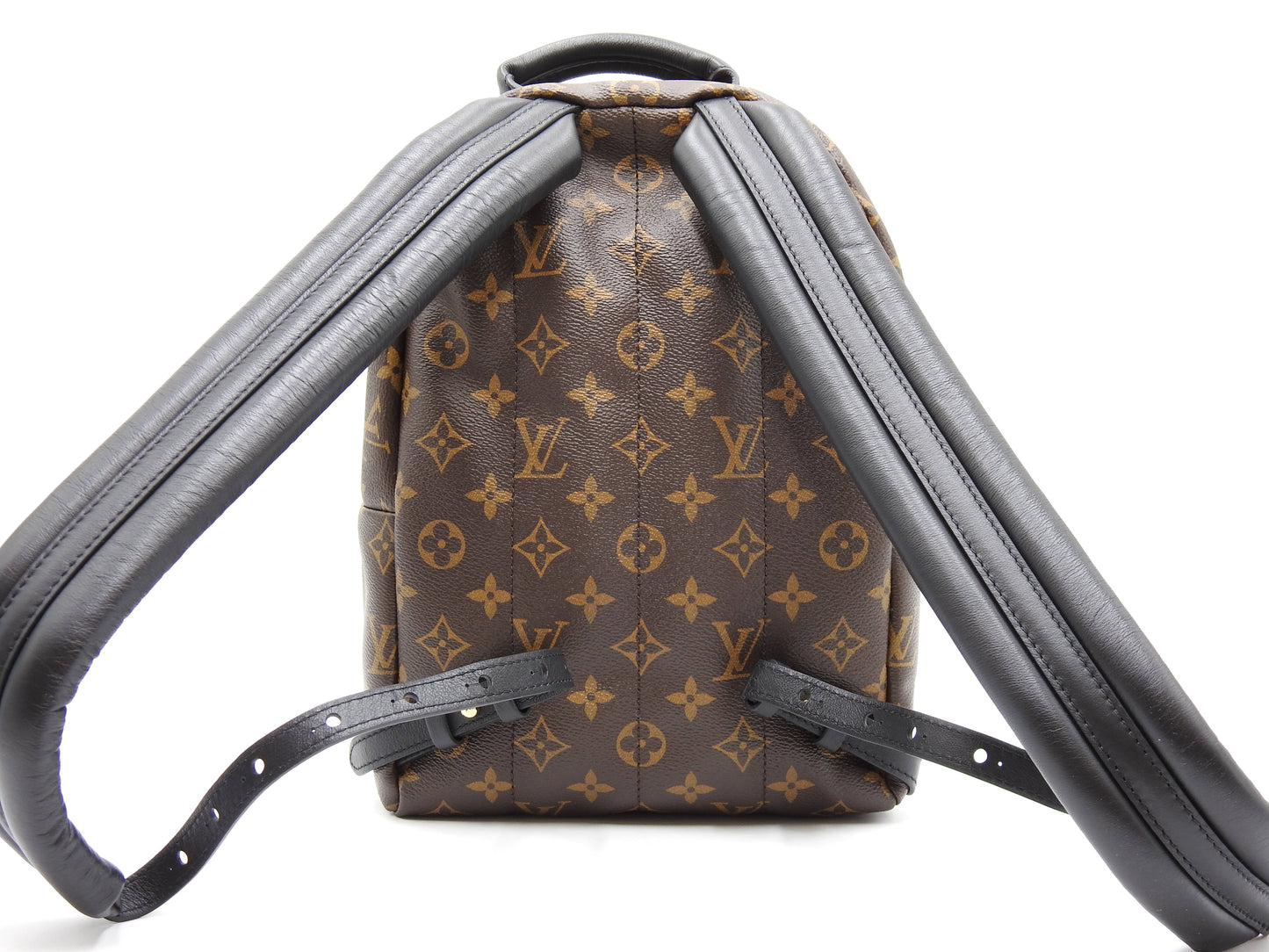 LOUIS VUITTON Monogram Reverse Palm Springs Backpack Bag PM M44870
