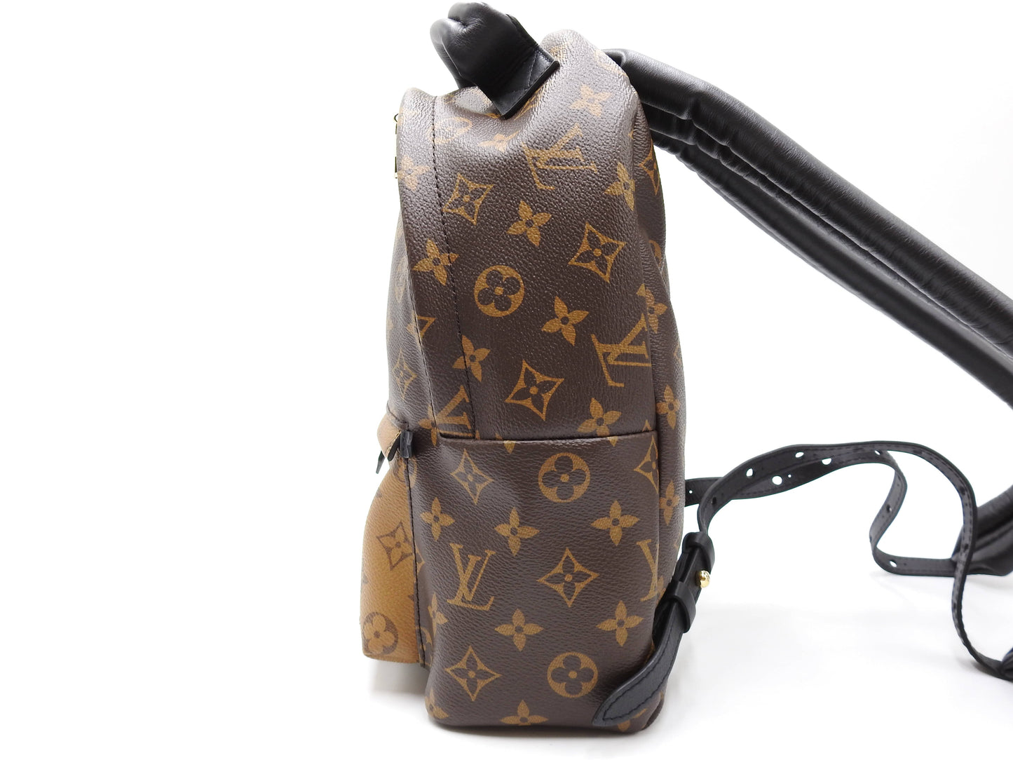 LOUIS VUITTON Monogram Reverse Palm Springs Backpack Bag PM M44870