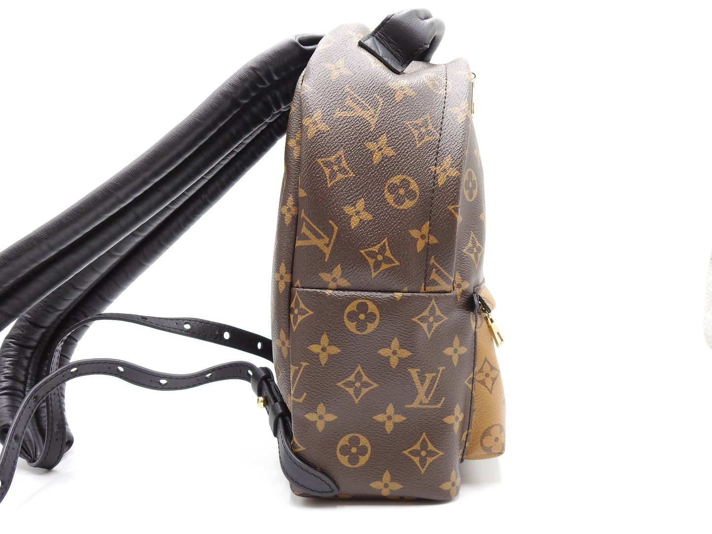 LOUIS VUITTON Monogram Reverse Palm Springs Backpack Bag PM M44870