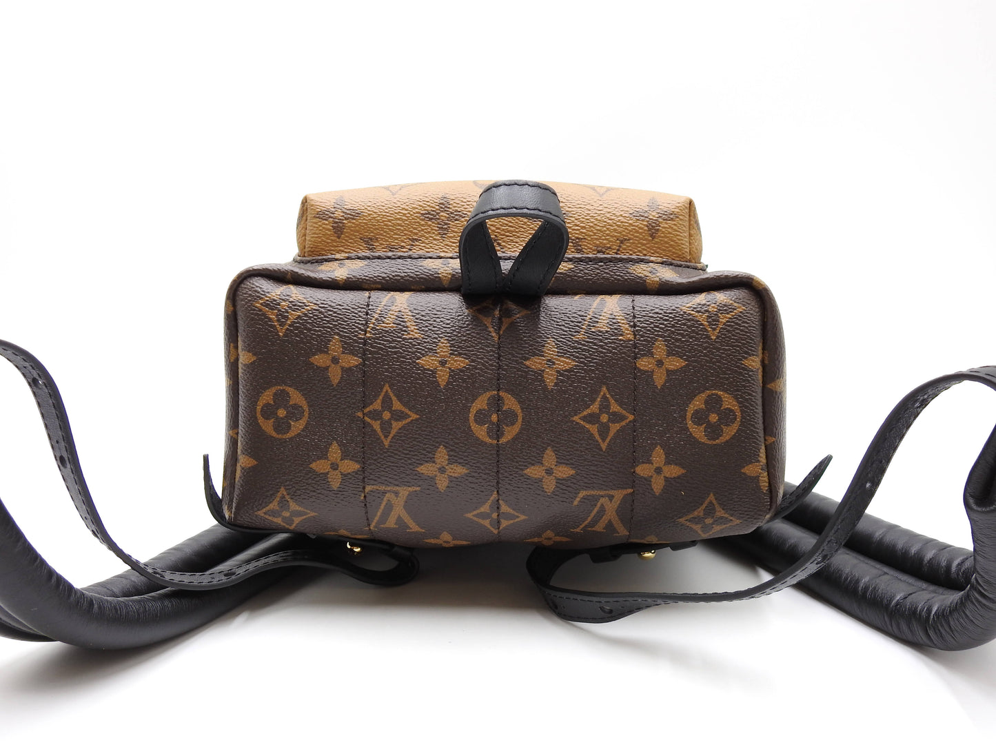 LOUIS VUITTON Monogram Reverse Palm Springs Backpack Bag PM M44870