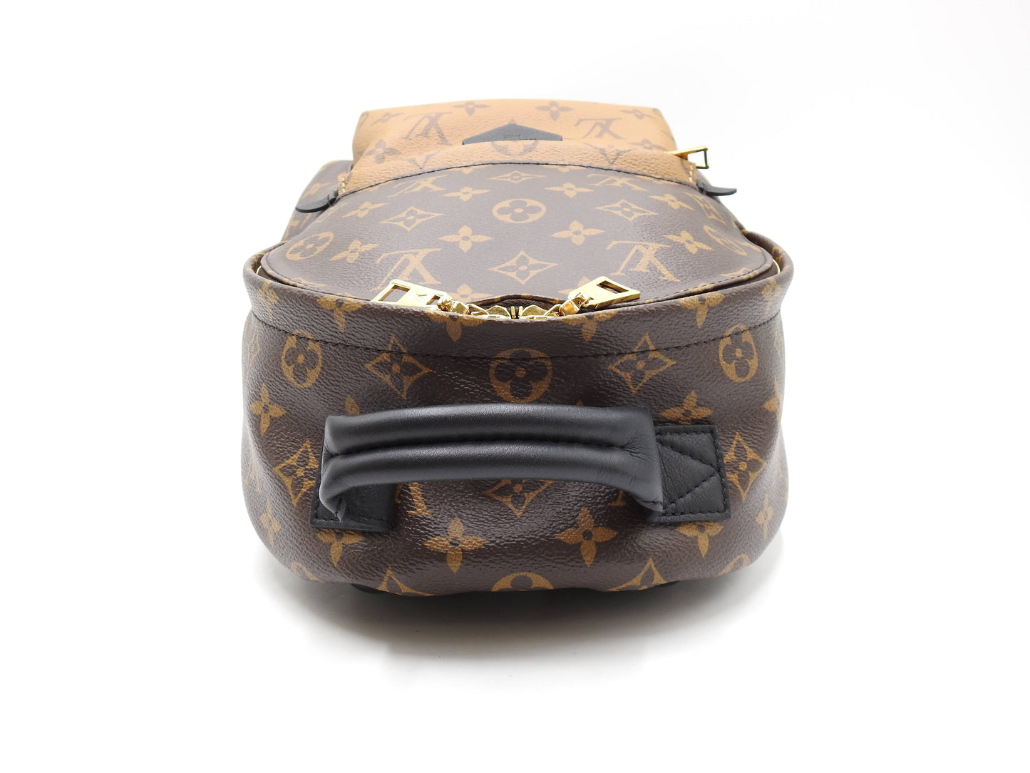 LOUIS VUITTON Monogram Reverse Palm Springs Backpack Bag PM M44870