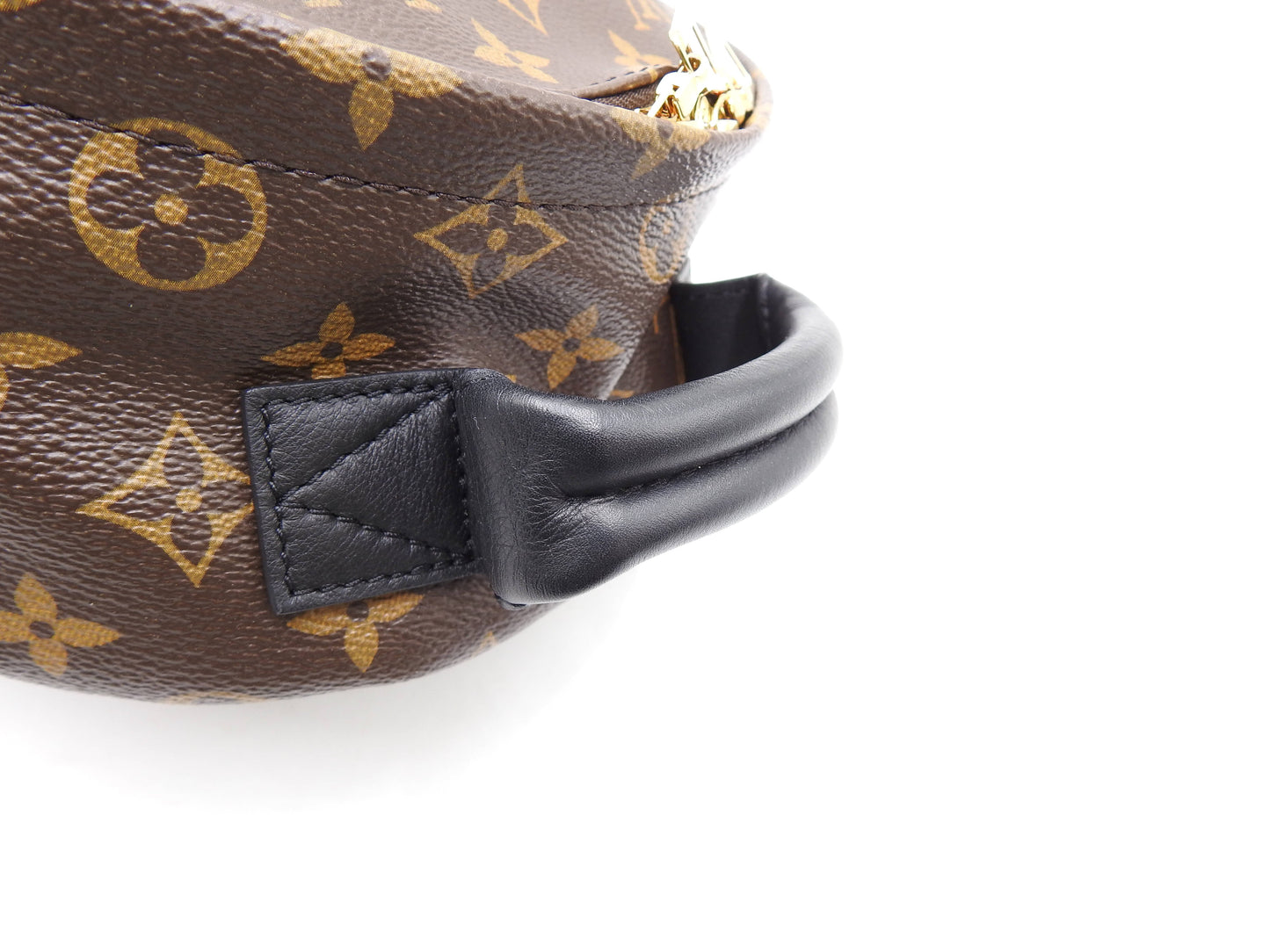 LOUIS VUITTON Monogram Reverse Palm Springs Backpack Bag PM M44870